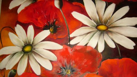 coquelicots et marguerites